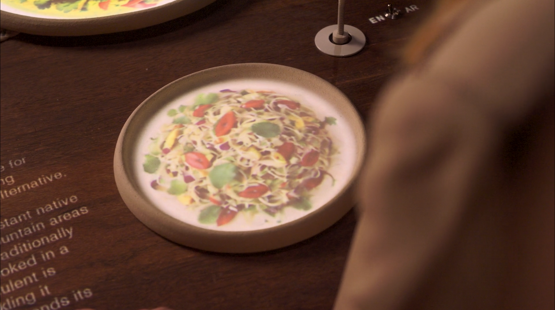 dinner2050 generated plates